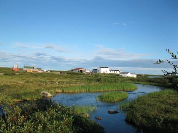 Treeline Lodge NWT