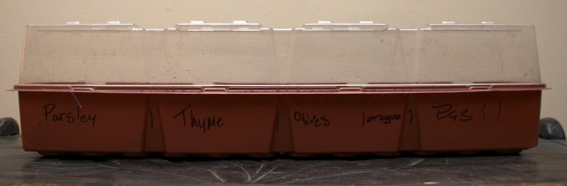 DSC_0330 herbs labeled